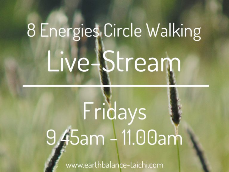 8 Energy Circle Walking Livestream