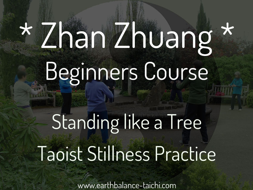 Zhan Zhuang Beginners Course