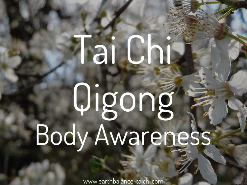 Awareness in Tai Chi