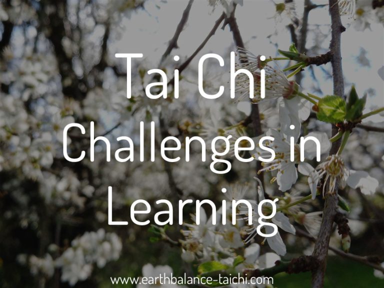 Challenges in Learning Tai Chi