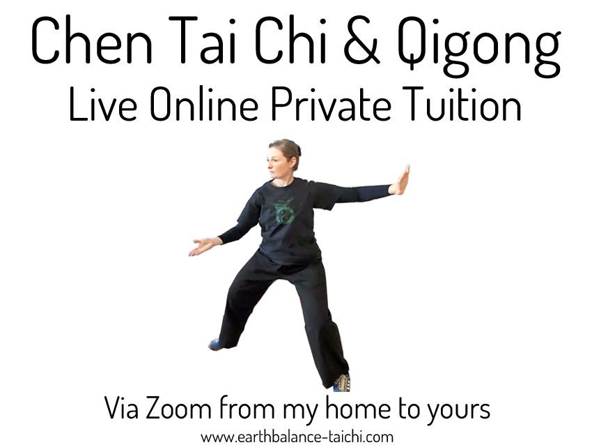 Chen Tai Chi Live Online Private Classes