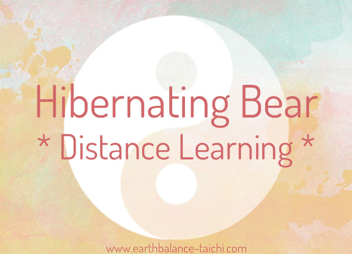 Hibernating Bear Distance Learning