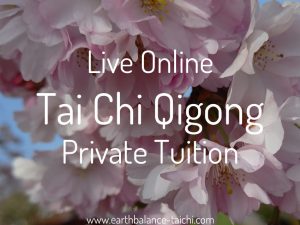 Live Online Tai Chi Private Class