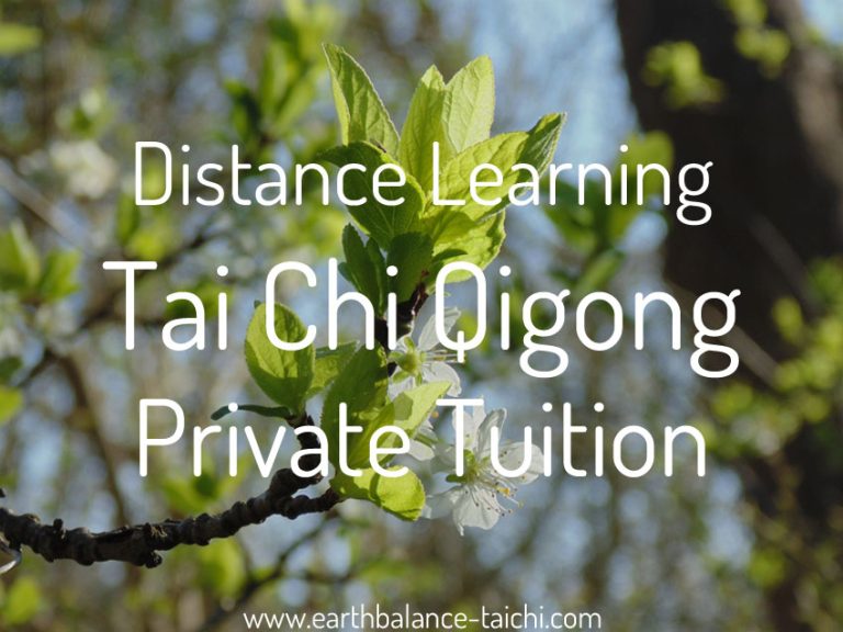 Online Video Lesson Tai Chi
