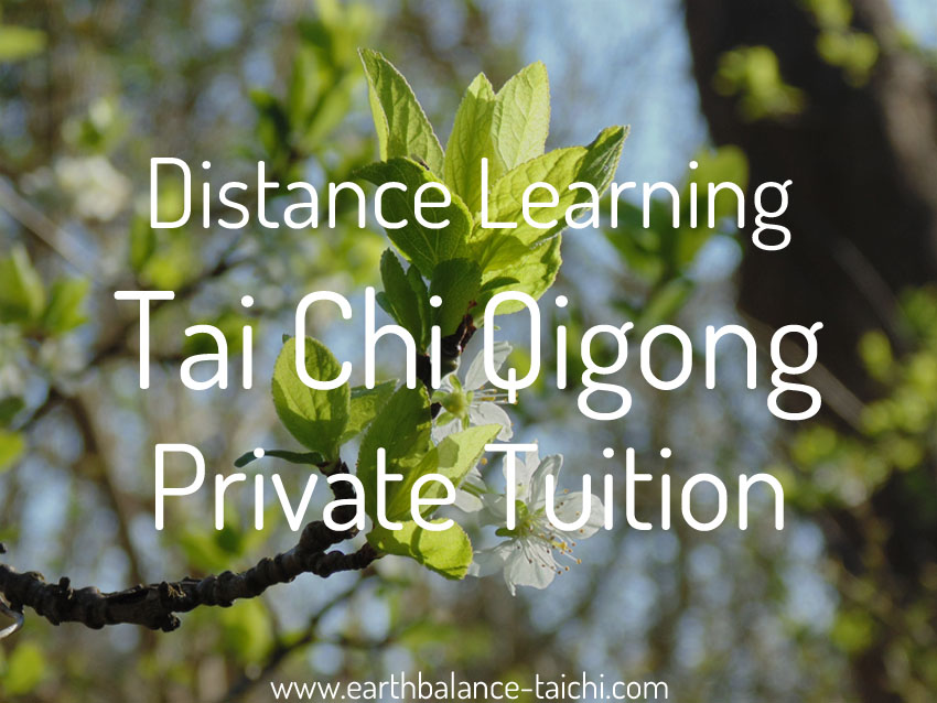 Online Video Lesson Tai Chi