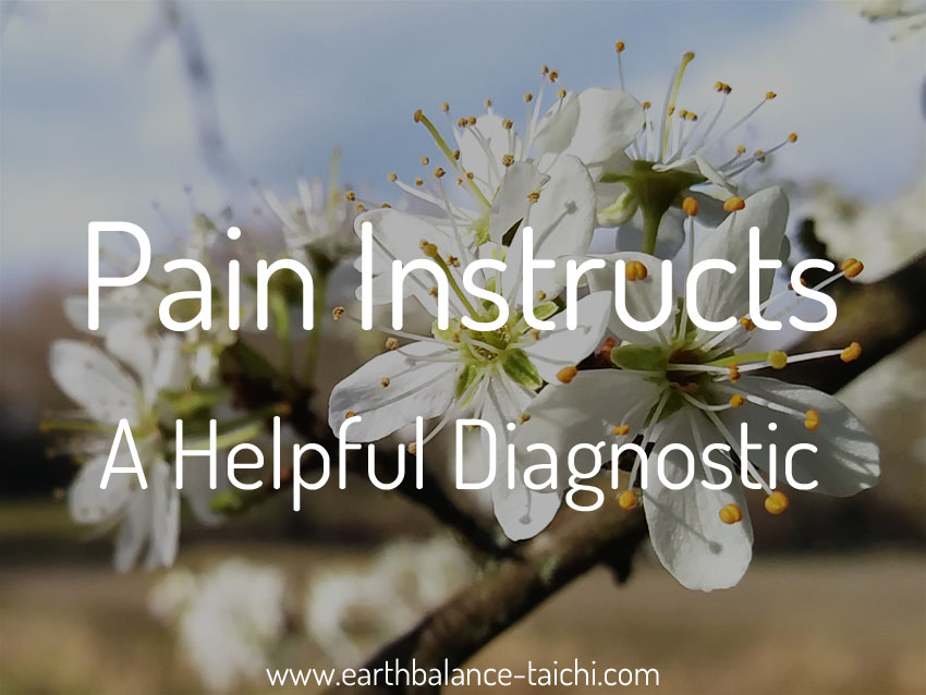 Pain Instructs A Helpful Diagnostic