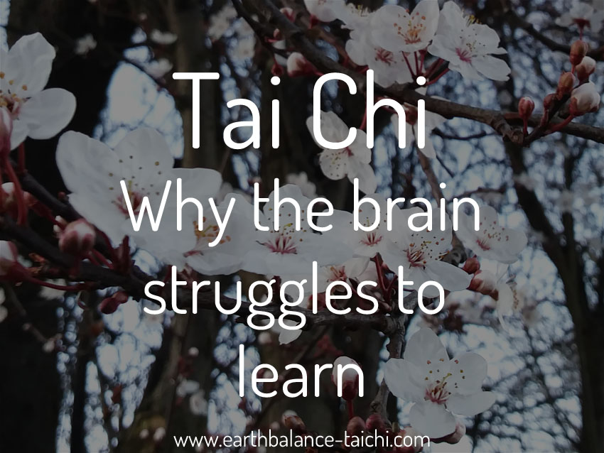 The Brain Struggles to Learn Tai Chi