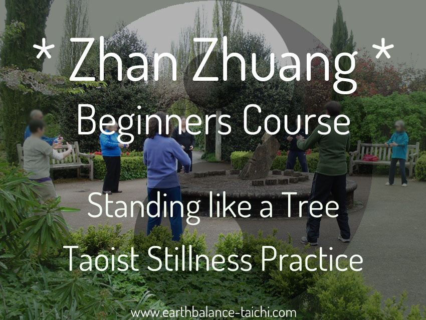 Zhan Zhuang Standing for Beginners