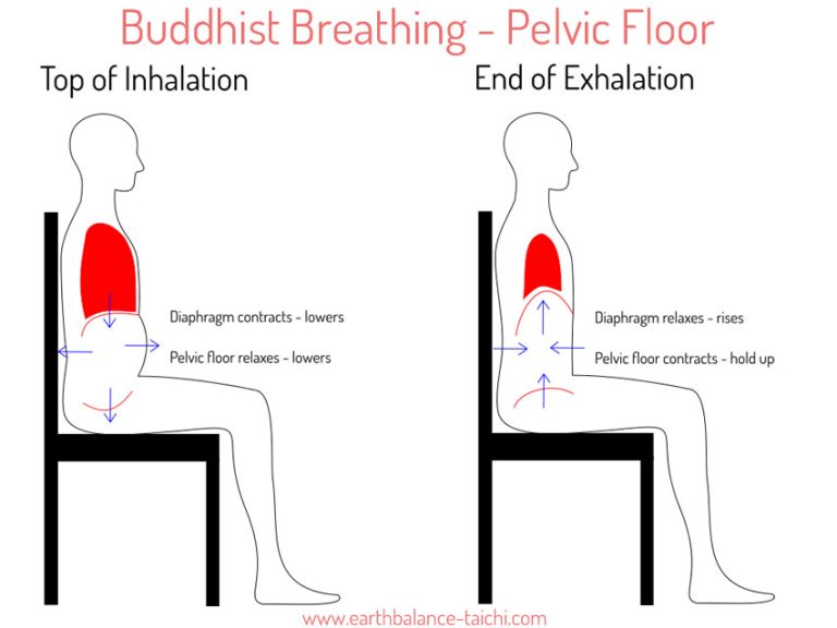 Diaphragmatic breathing with pelvic floor