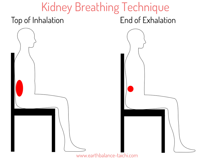 Kidney Breathing Technique