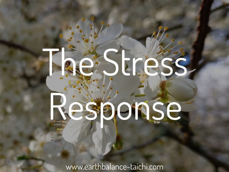 Tai Chi and the Stress Response