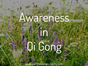 Awareness Principle in Qigong