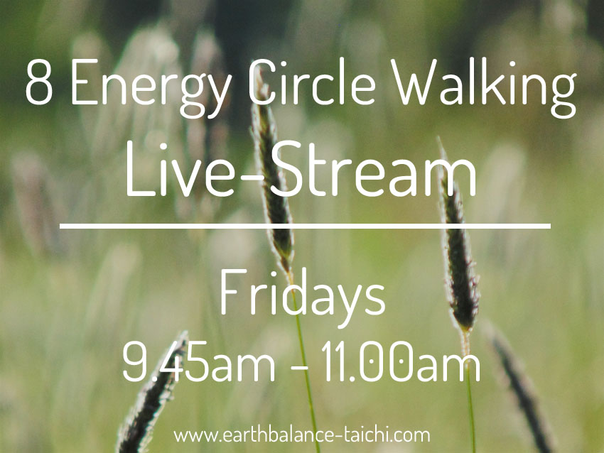Eight Energy Circle Walking Group Class