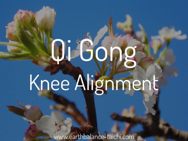 Knee Health in Qi Gong