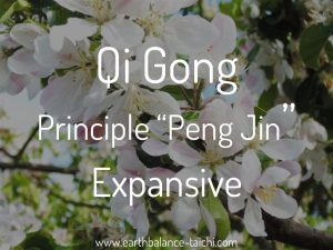 Peng Jin in Qi Gong