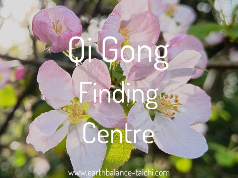Qigong Finding Centre