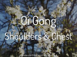 Shoulders and Chest in Qi Gong