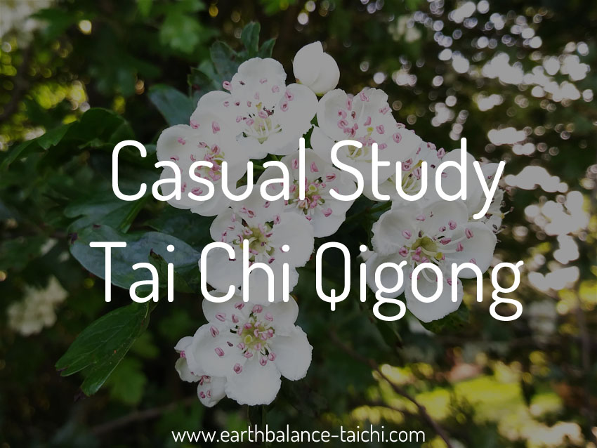 Casual Study Tai Chi Qigong