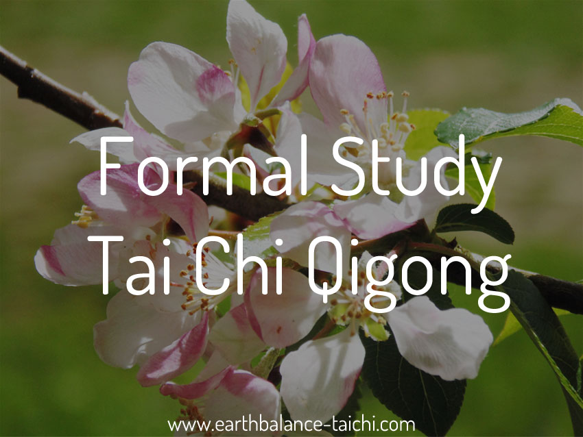 Formal Study Tai Chi Qigong