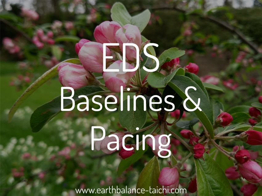 Self Managing EDS | Ehlers Danlos Syndrome & Hypermobility