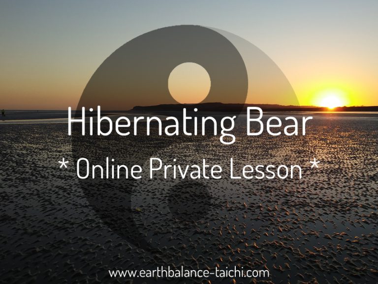 Hibernating Bear 121 Online Tuition