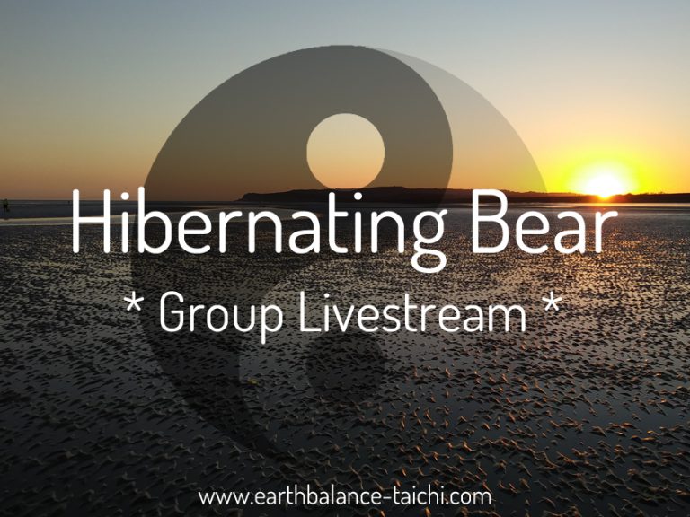 Hibernating Bear Online Group Livestream