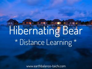 Hibernating Bear Distance Learning