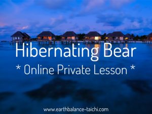 Hibernating Bear Online Private Tuition