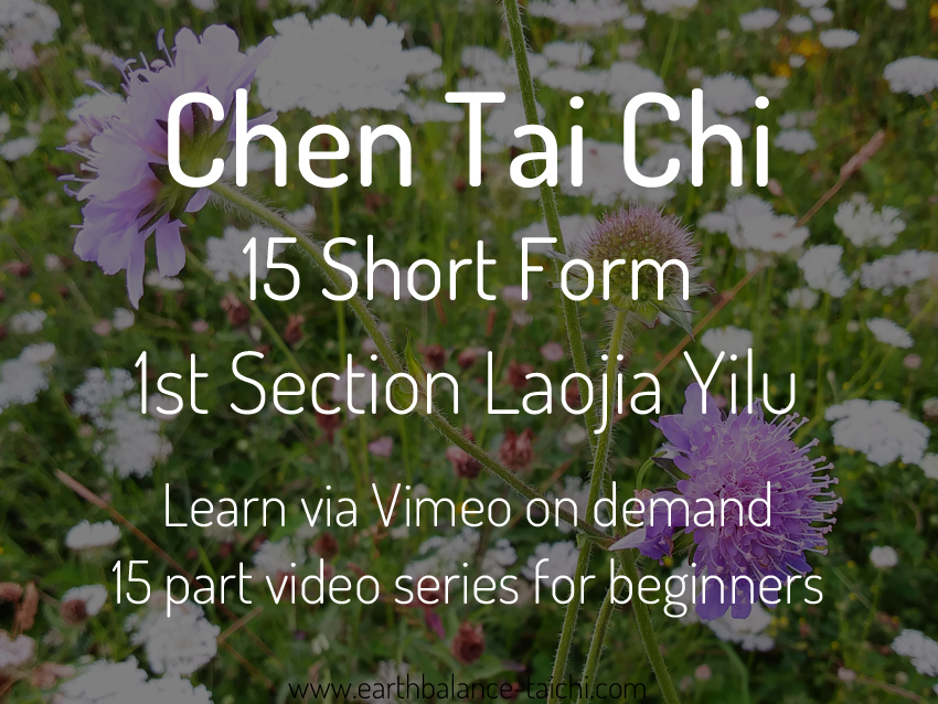 Chen Tai Chi 15 Form Videos