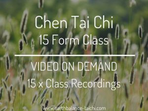 Chen Tai Chi Form Class on Vimeo