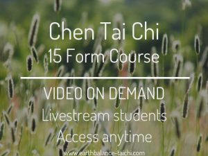 Chen Tai Chi Form Course Vimeo