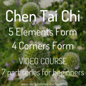 Chen Taiji 5 Elements Form Videos