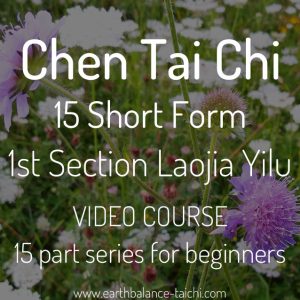 Chen Taiji Short Form Course