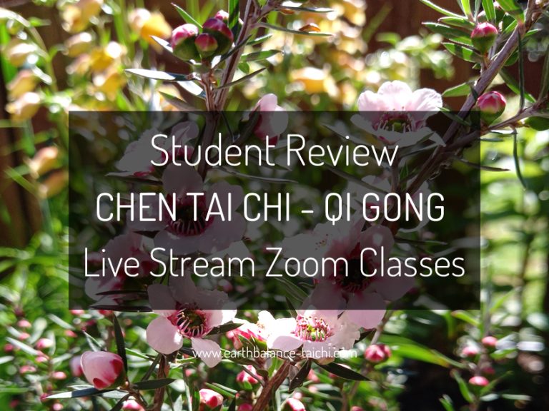Tai Chi Student Review