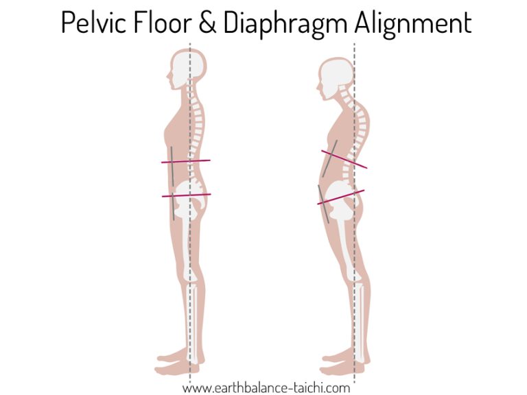 Pelvic Floor and Diaphragm Alignment