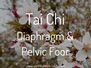 Tai Chi Pelvic Floor Diaphragm Connection