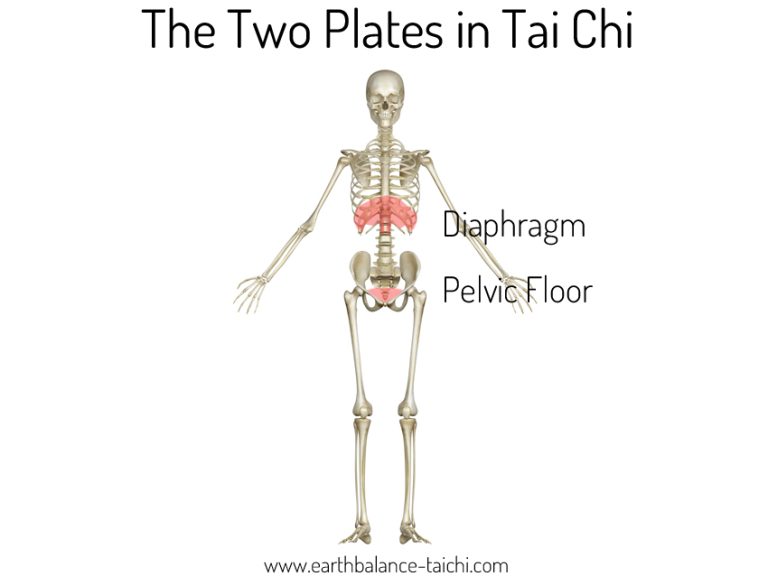The Two Plates in Tai Chi Practice