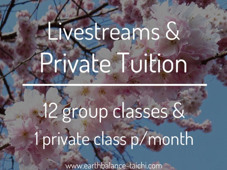 Livestreams & Private Tuition