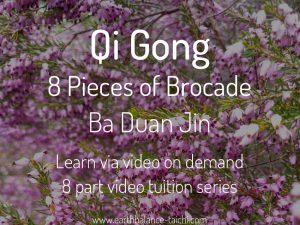 Ba Duan Jin Qigong Video Course