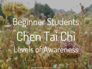 Beginner Tai Chi Student Awareness