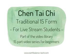 Chen Tai Chi 15 Form Livestream Students