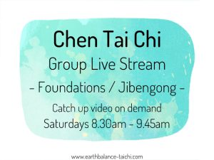 Chen Tai Chi Livestream Students