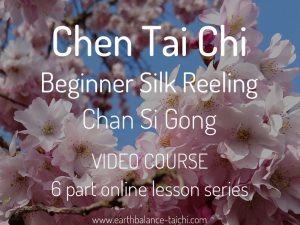 Chen Taiji Chan Si Gong Course