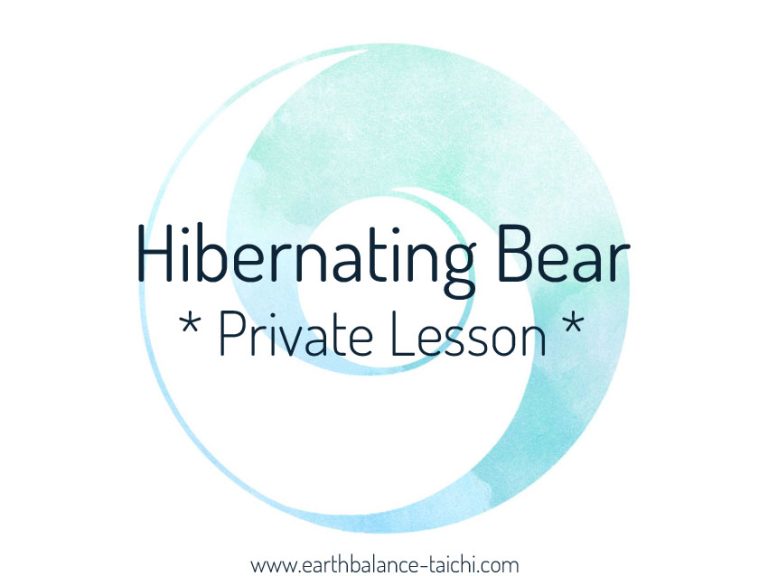 Hibernating Bear Online Tuition