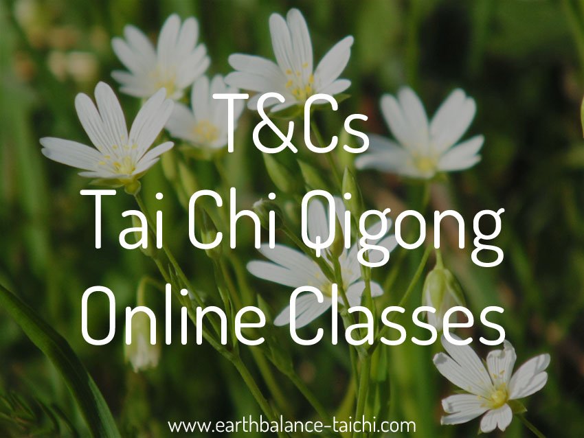 Terms Online Tai Chi