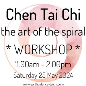 Chen Tai Chi Spiral Workshop
