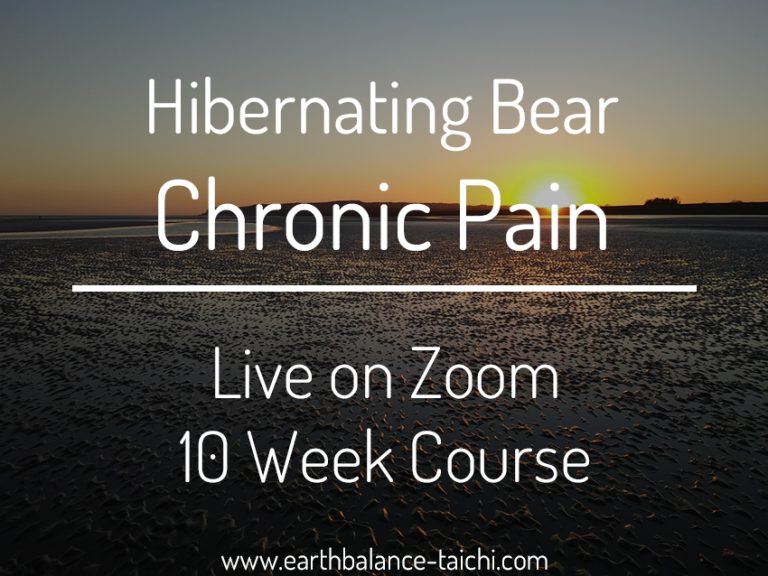 Hibernating Bear Chronic pain Course