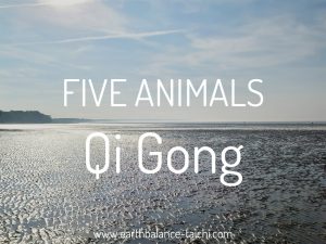 5 Animals Qi Gong