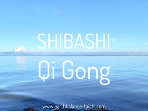 Shibashi Tai Chi Qigong