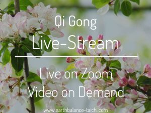 Qi Gong Livestream Zoom Class